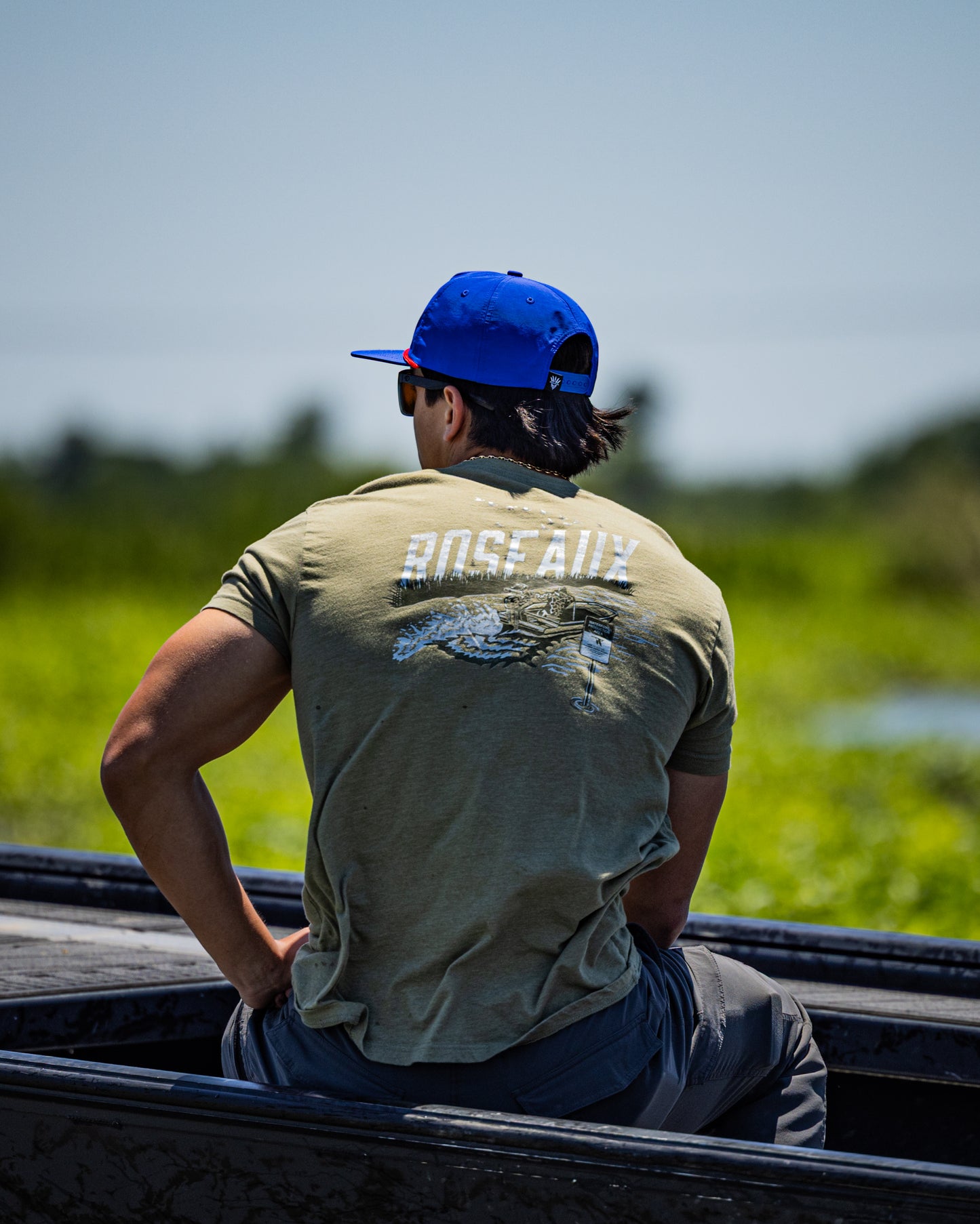 The Public Lander